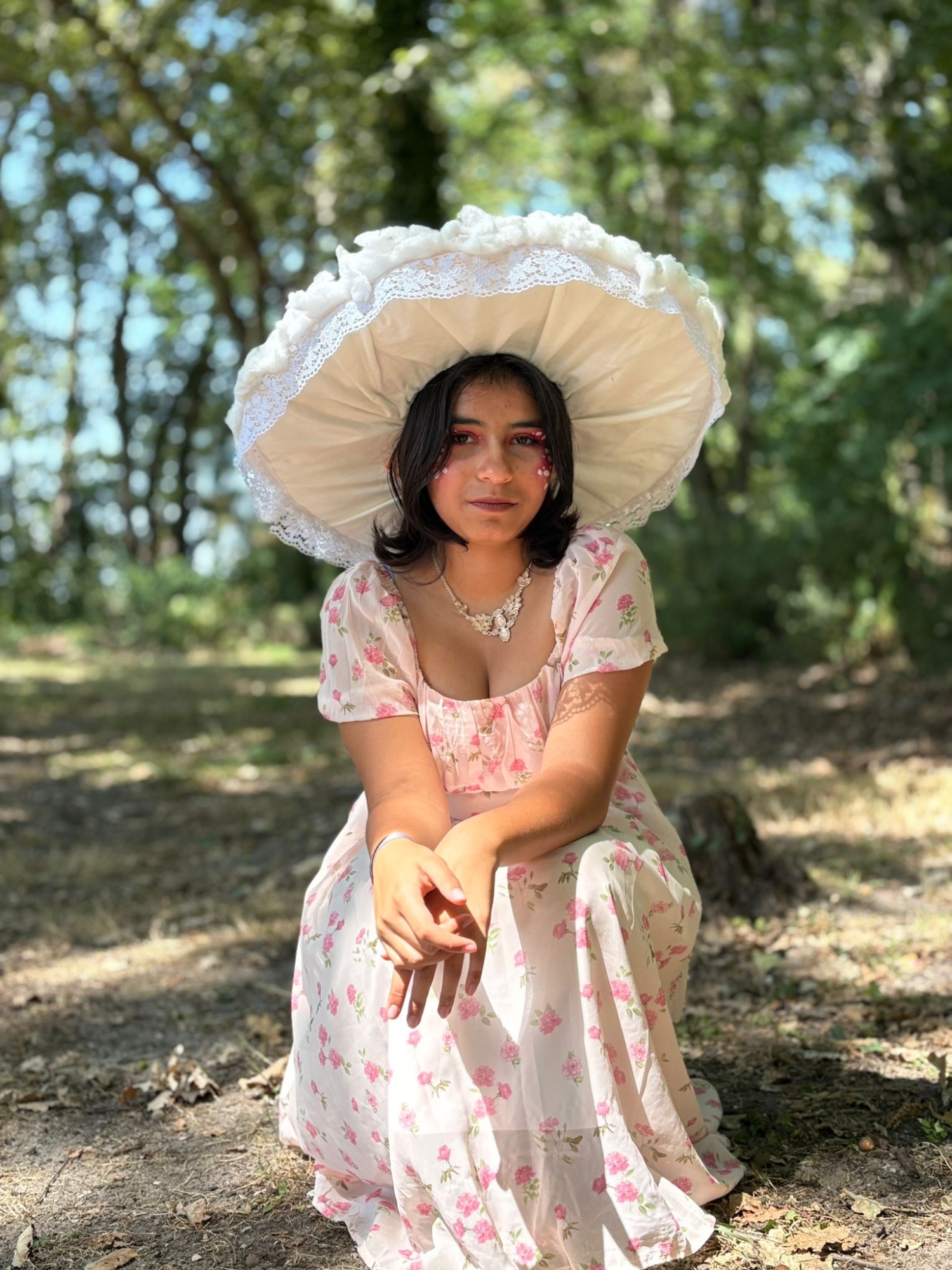 Champignon féerique  - Photo 5