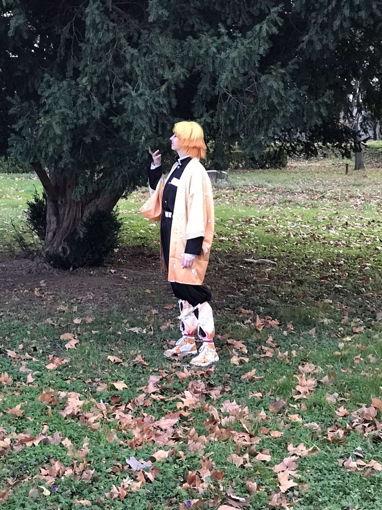 Zenitsu Agatsuma  - Photo 19