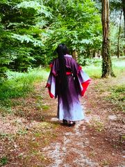 Wei wuxian preview 3