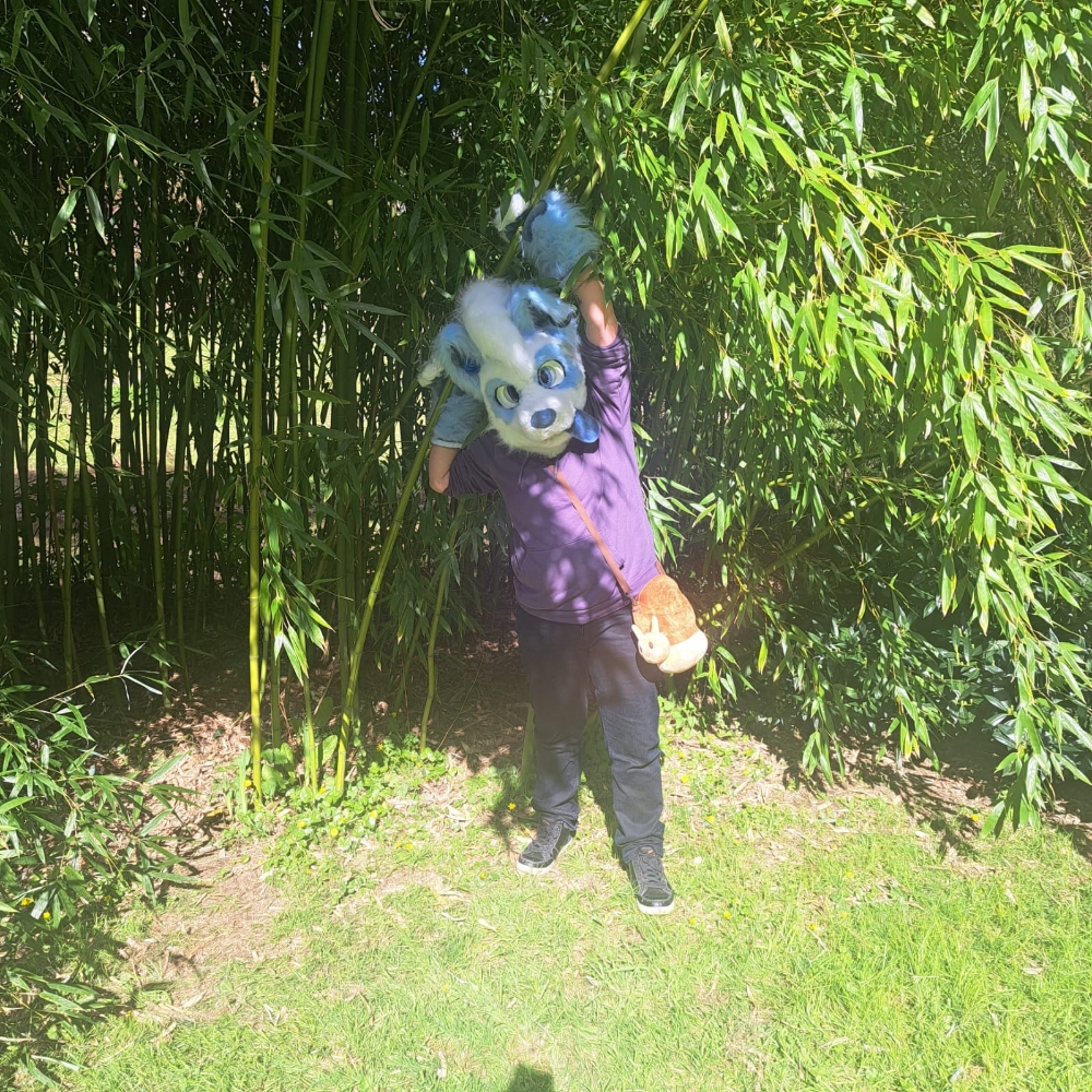 Titan (V2) - Photo 1