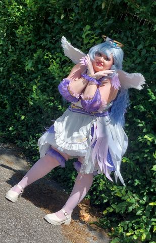 Robin Maid Herofesti