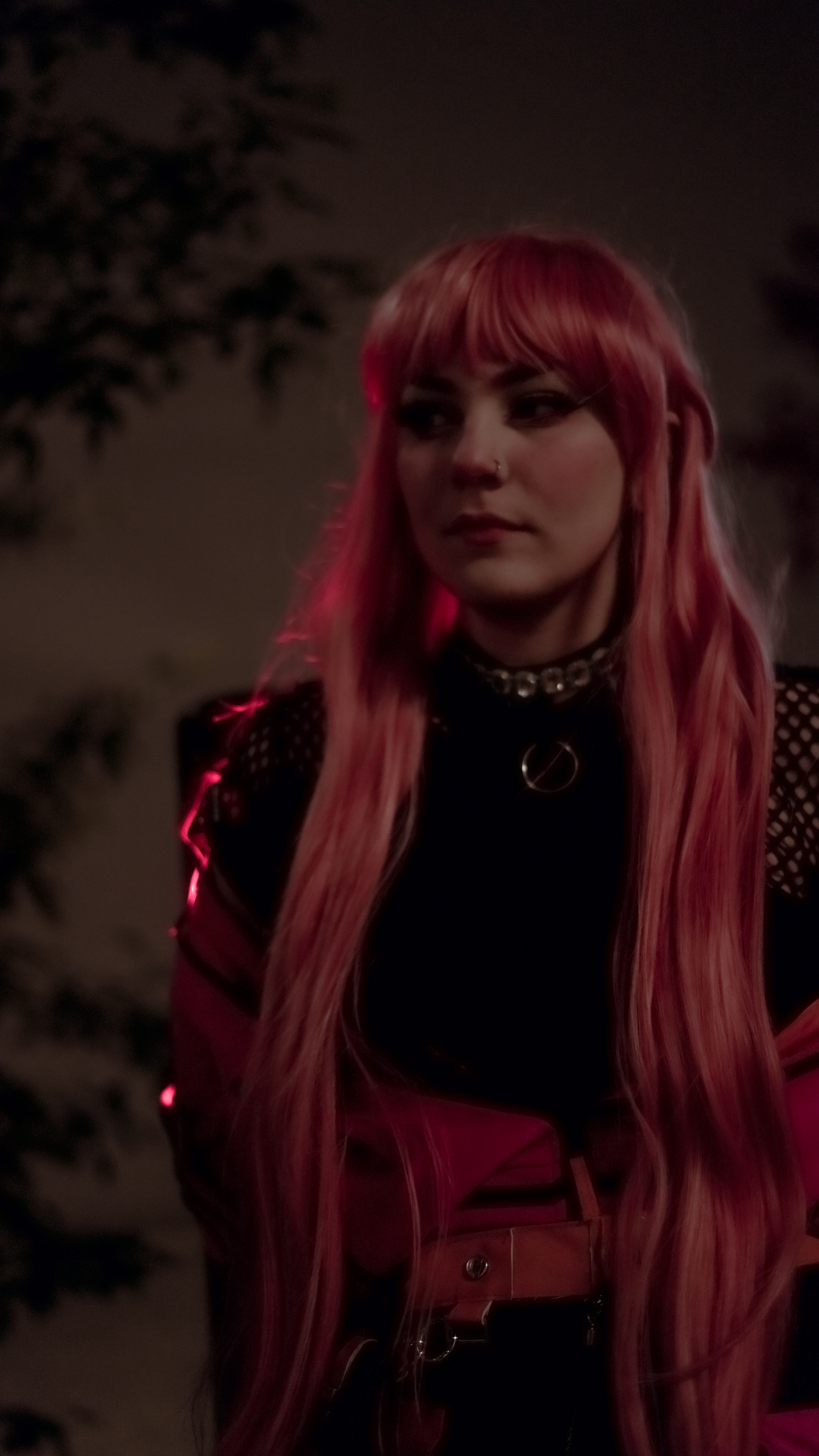 Anne Faulkner - Photo 5