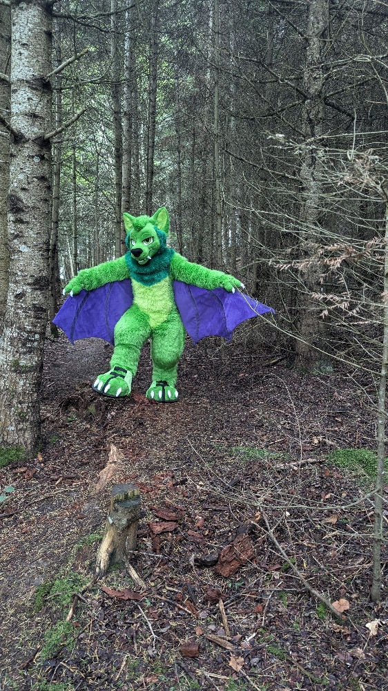 
A dark forest - Photo 2