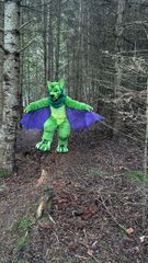 A dark forest preview 3
