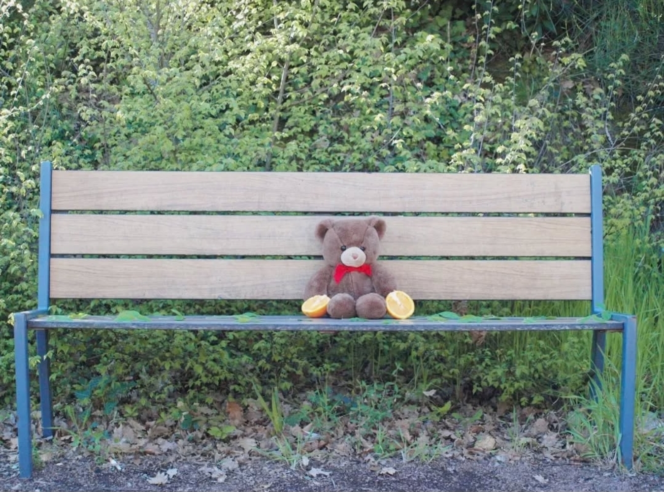 Yuzu aihara  - Photo 4