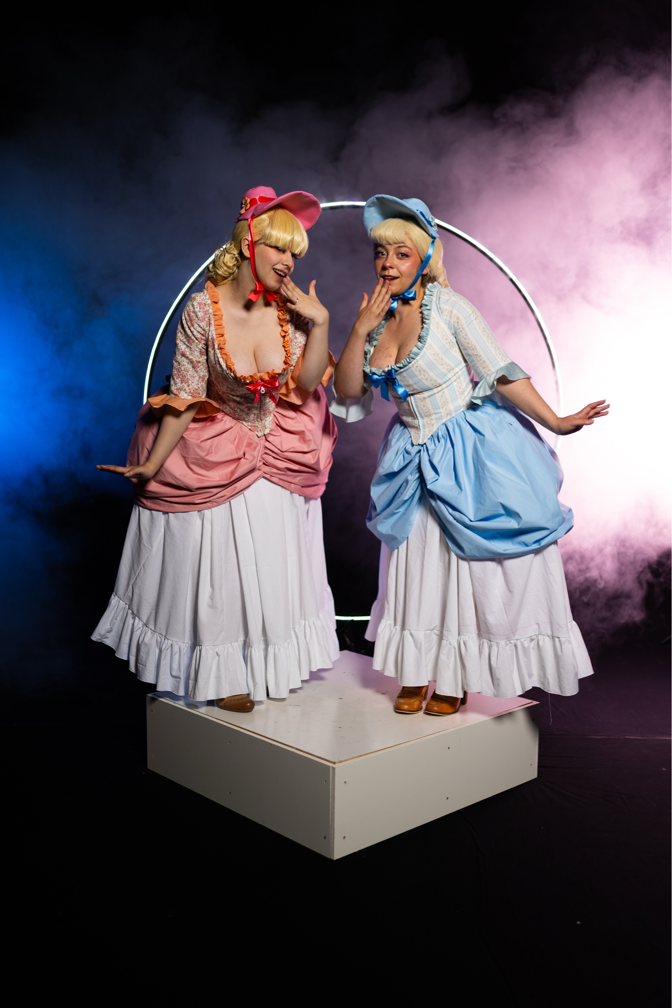 Les oies des aristoc