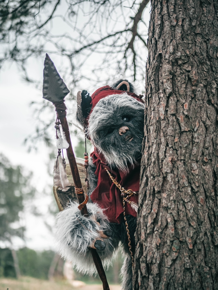 Forest Shooting — photo 8