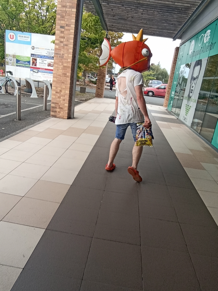Magicarpe Zombie — photo 13