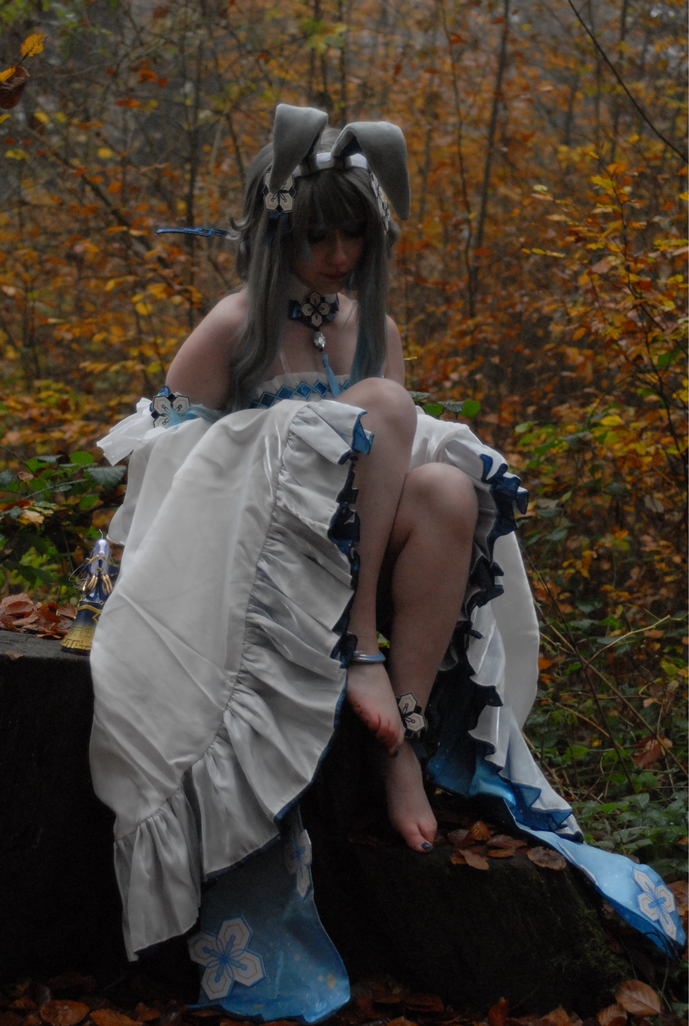 Guizhong Bunny - Photo 29