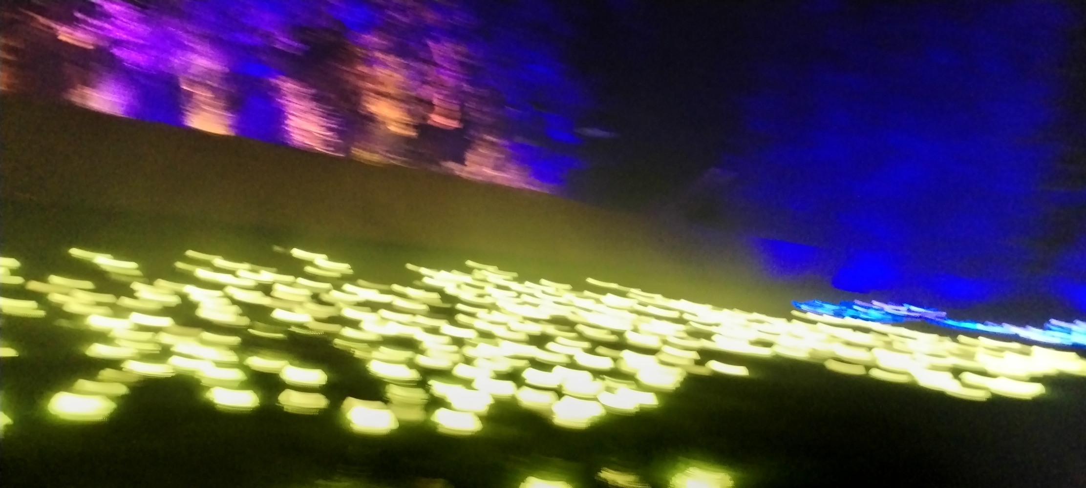 La forêt interdite - Photo 13