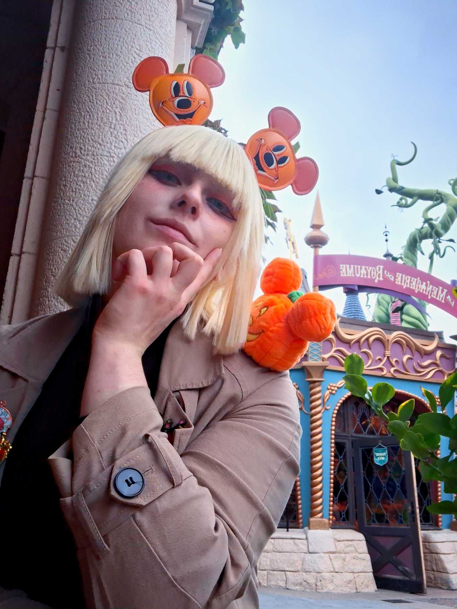 Rook at disneyland, photo 9