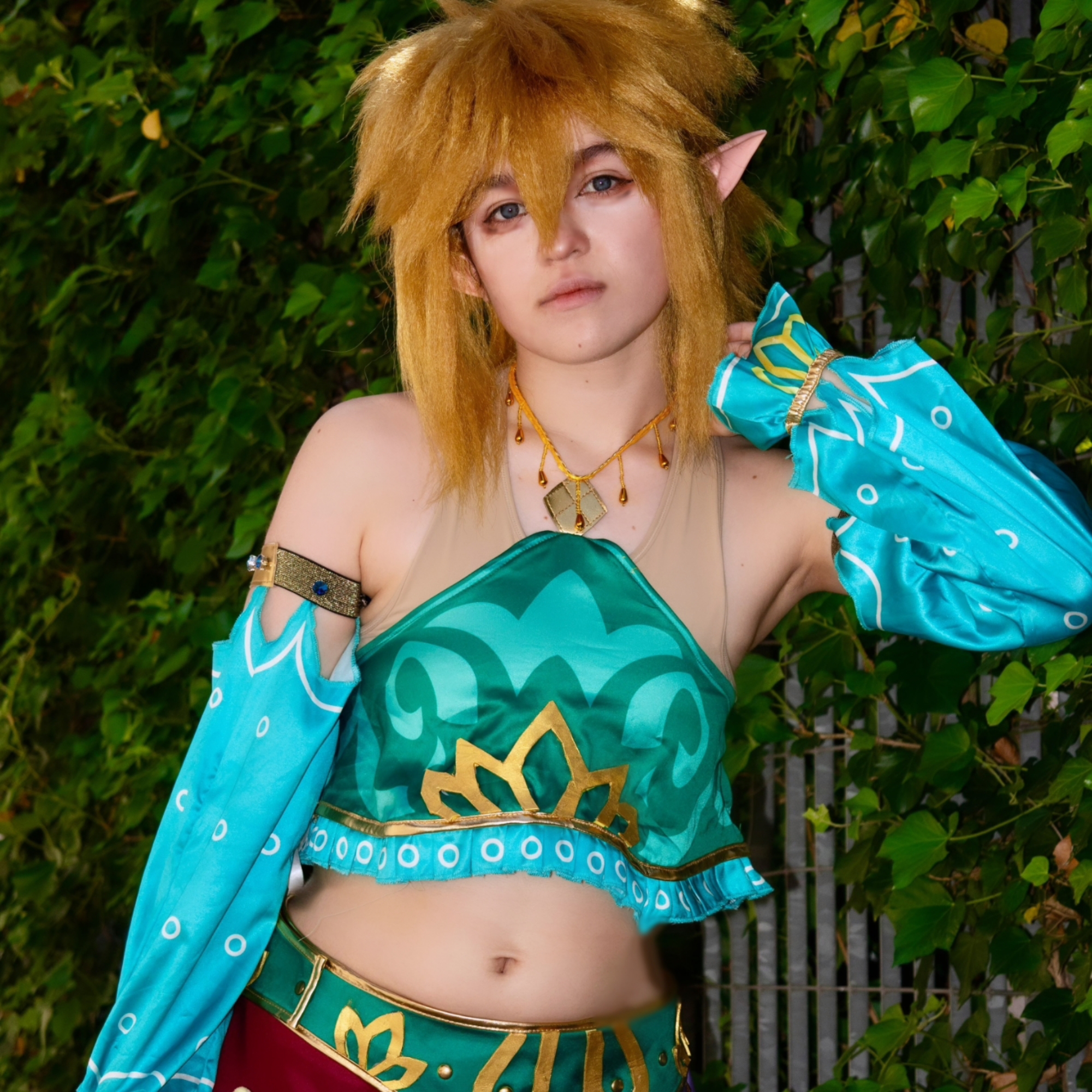 Link gerudo — photo 7