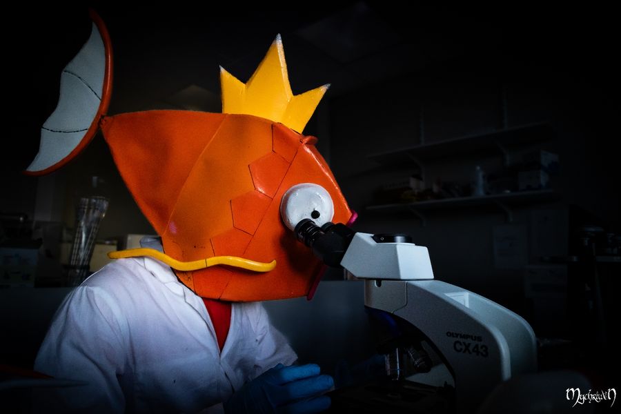 Inkisylex - Professor Magicarpe 