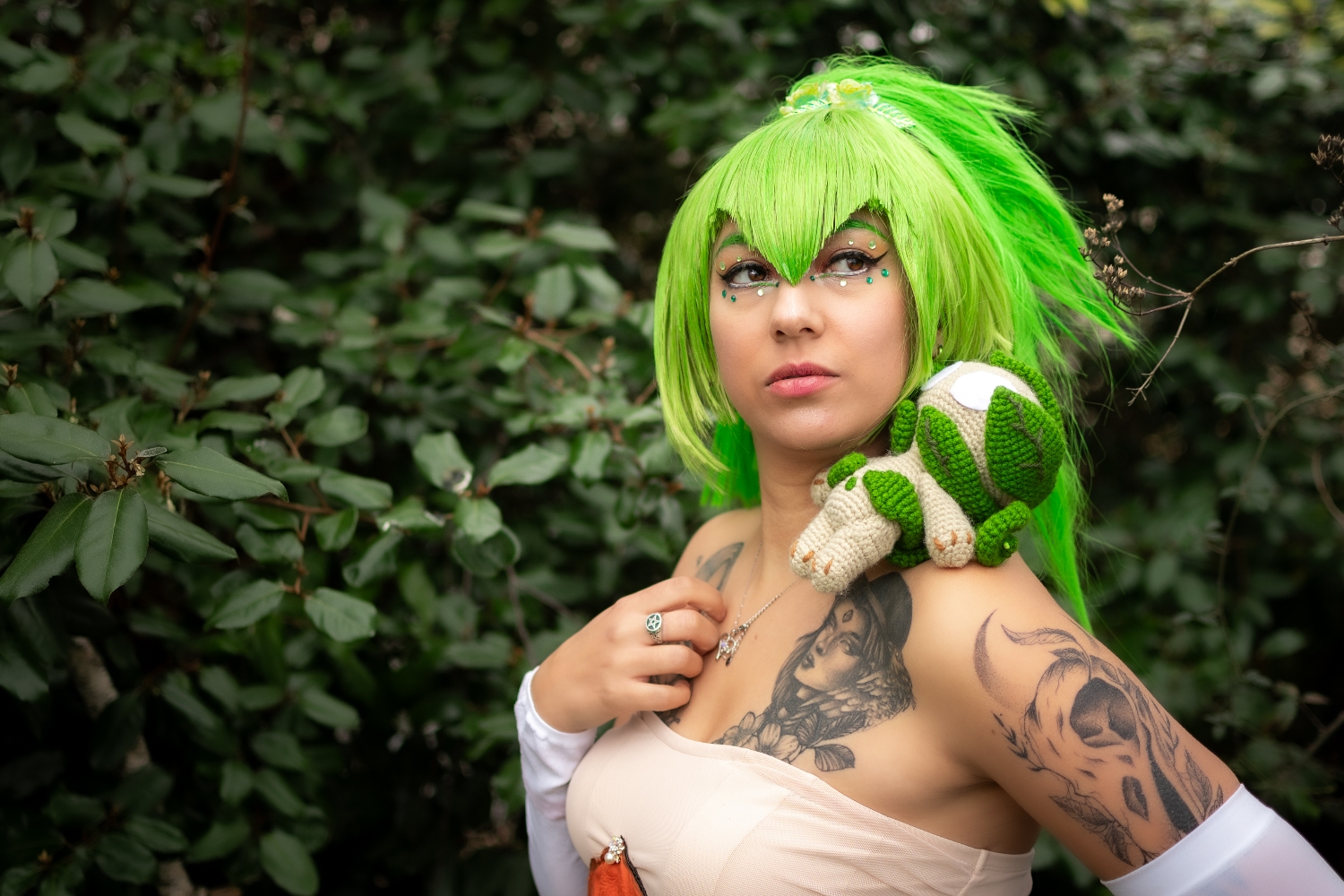 Amalia dofus - Photo 2