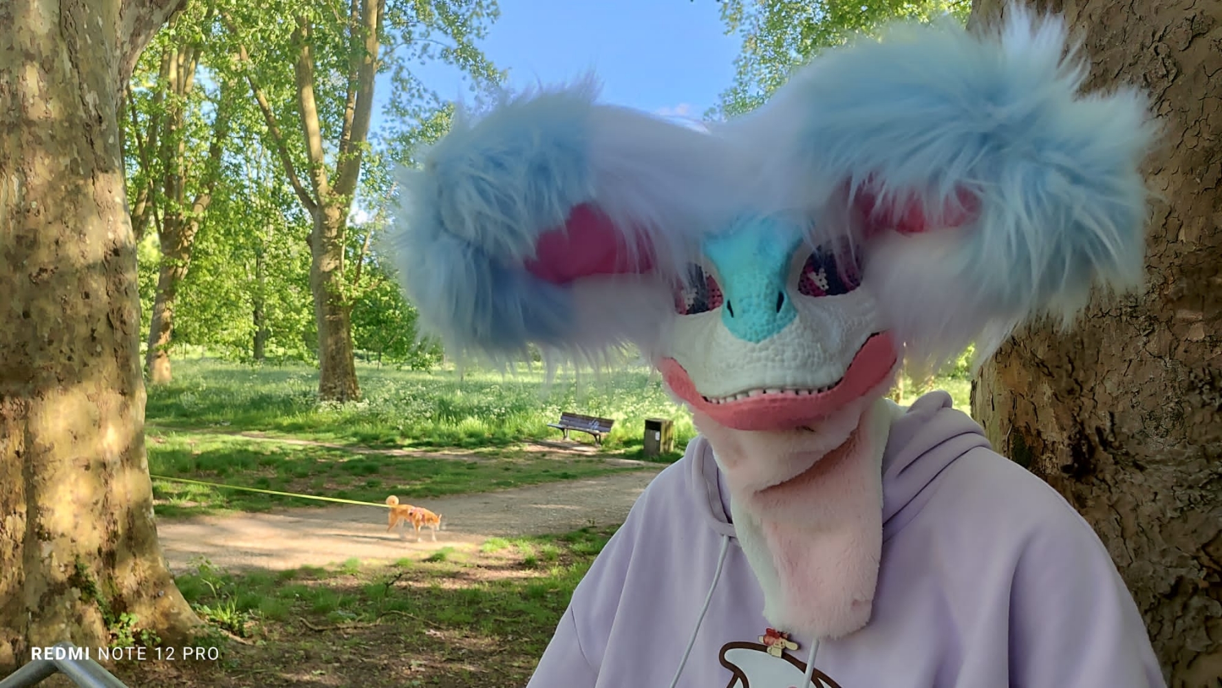 Debut du printemps  - Photo 38