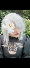 2b preview 2