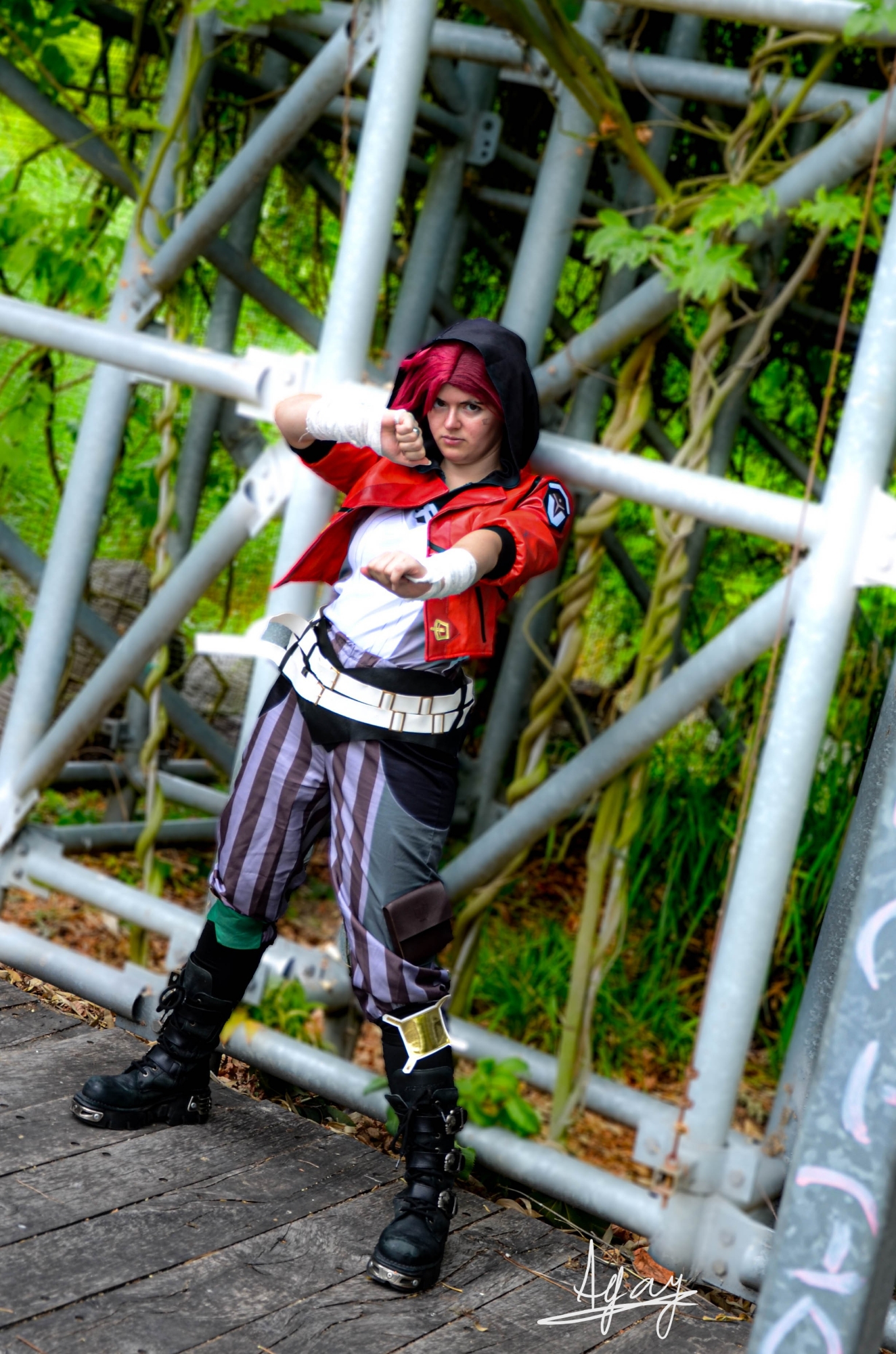 Vi — photo 14