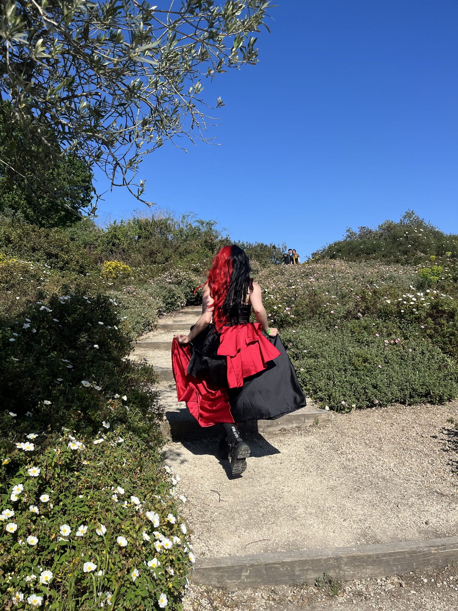 Harley Quinn — photo 13