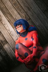 LadyBug preview 2