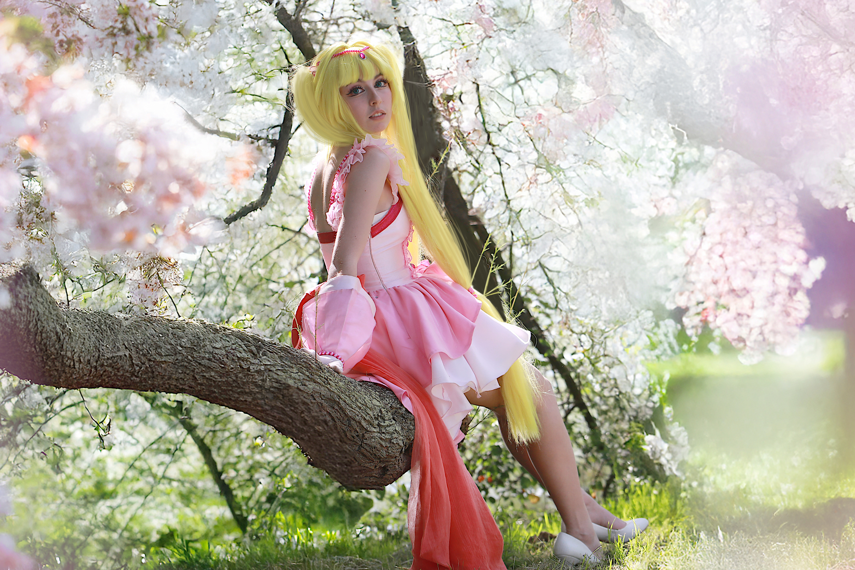 Lucia nanami - Photo 2