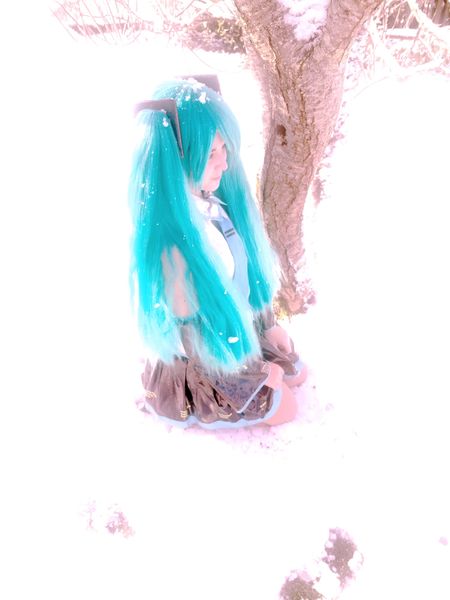 Jelly-fish - Hatsune Miku