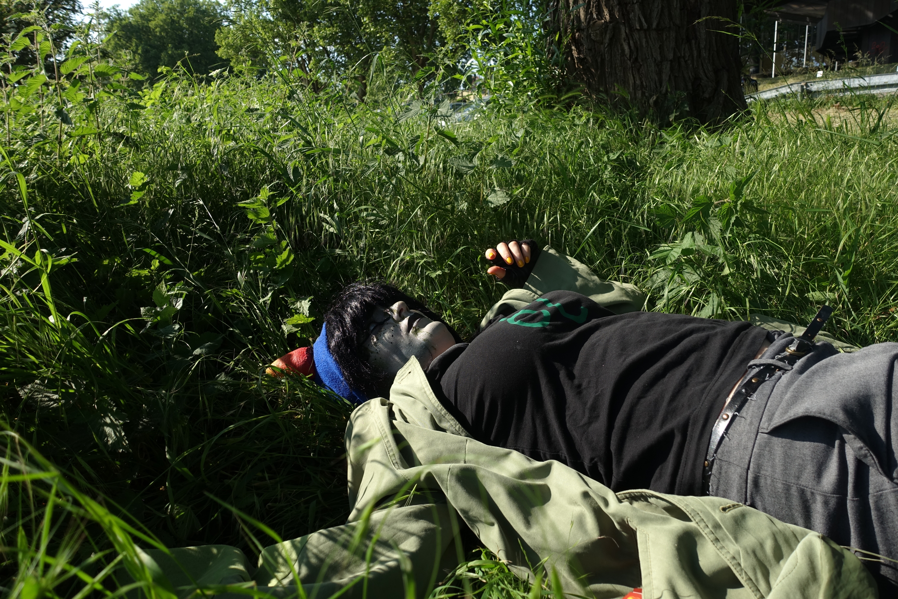 Nepeta Leijon - dead — photo 11