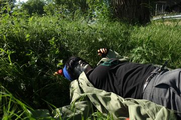 Nepeta Leijon - dead preview 2