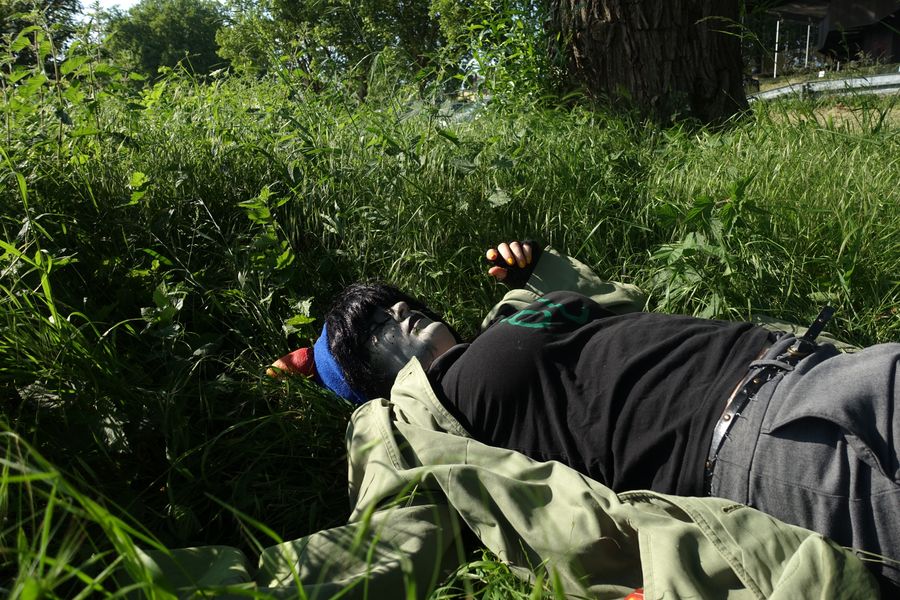 Nep - Nepeta Leijon - dead
