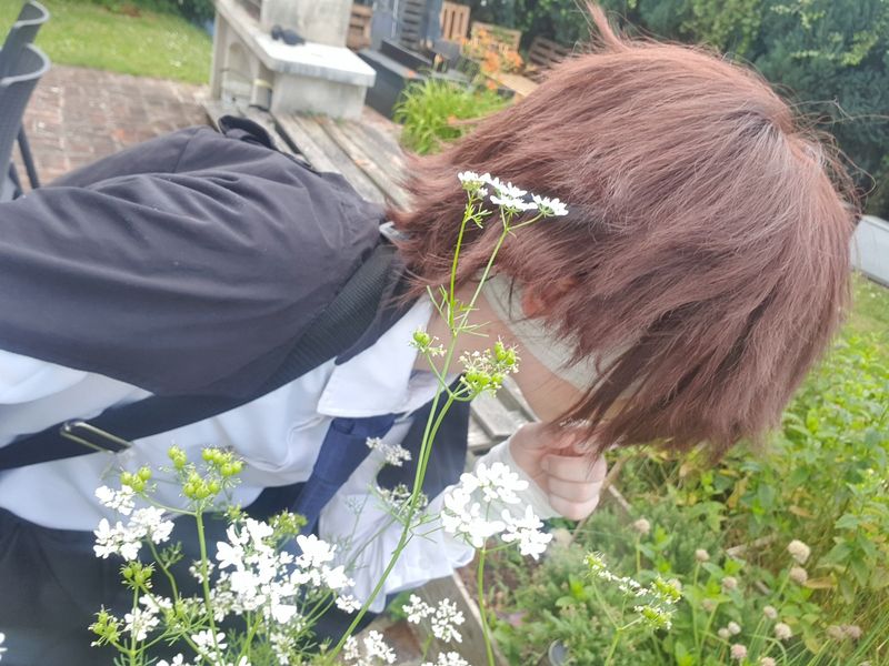 Côme - Dazai