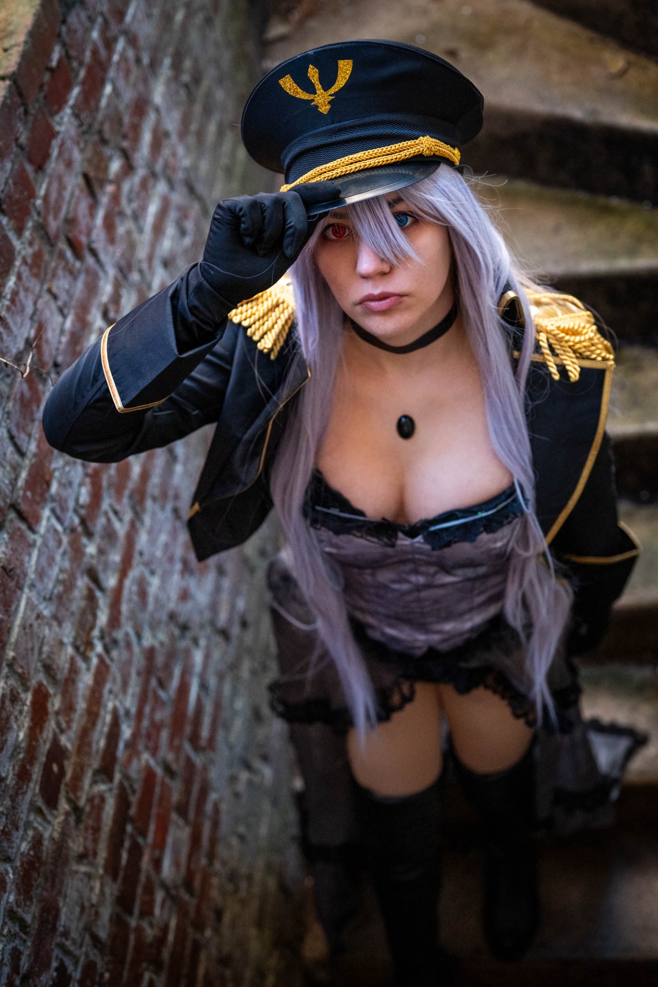 Black lobelia  - Photo 6