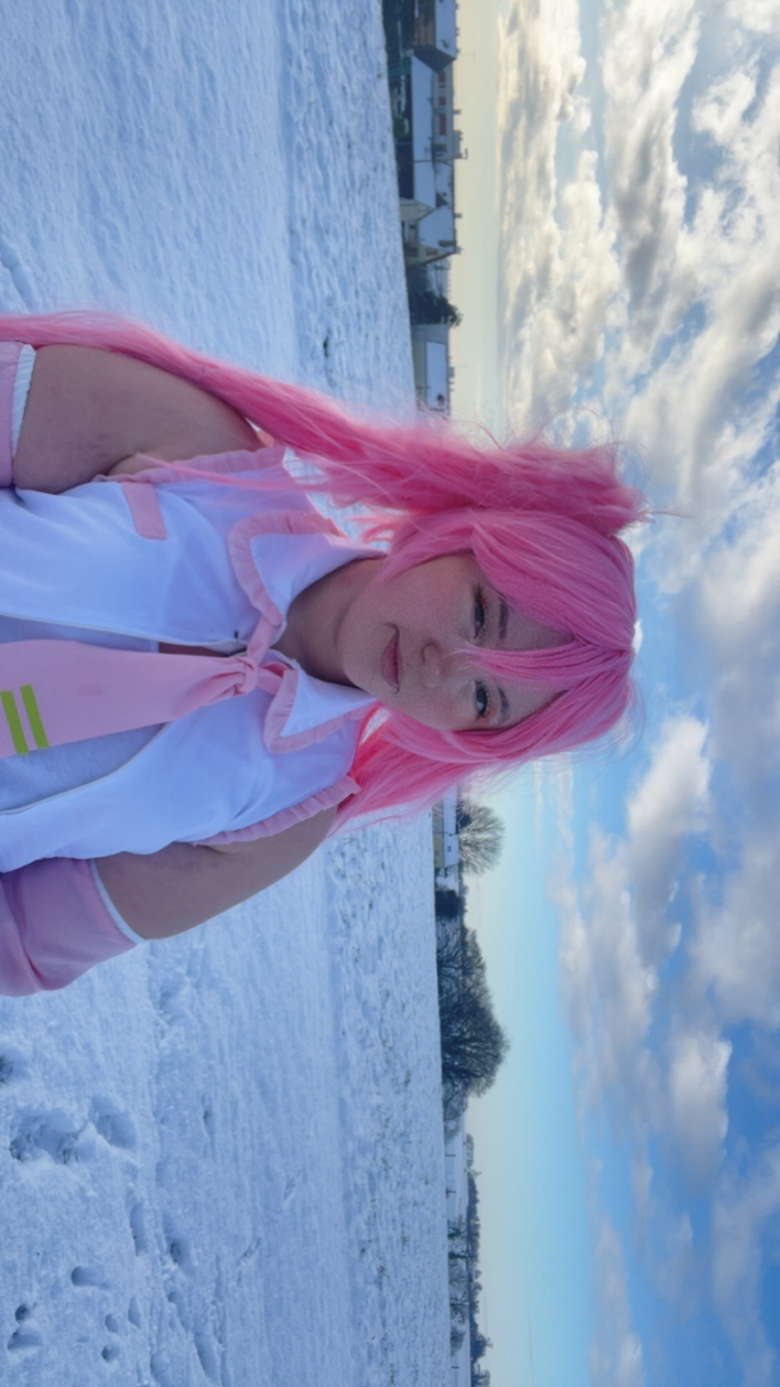 Sakura miku — photo 17
