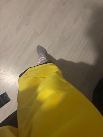 Mashyga