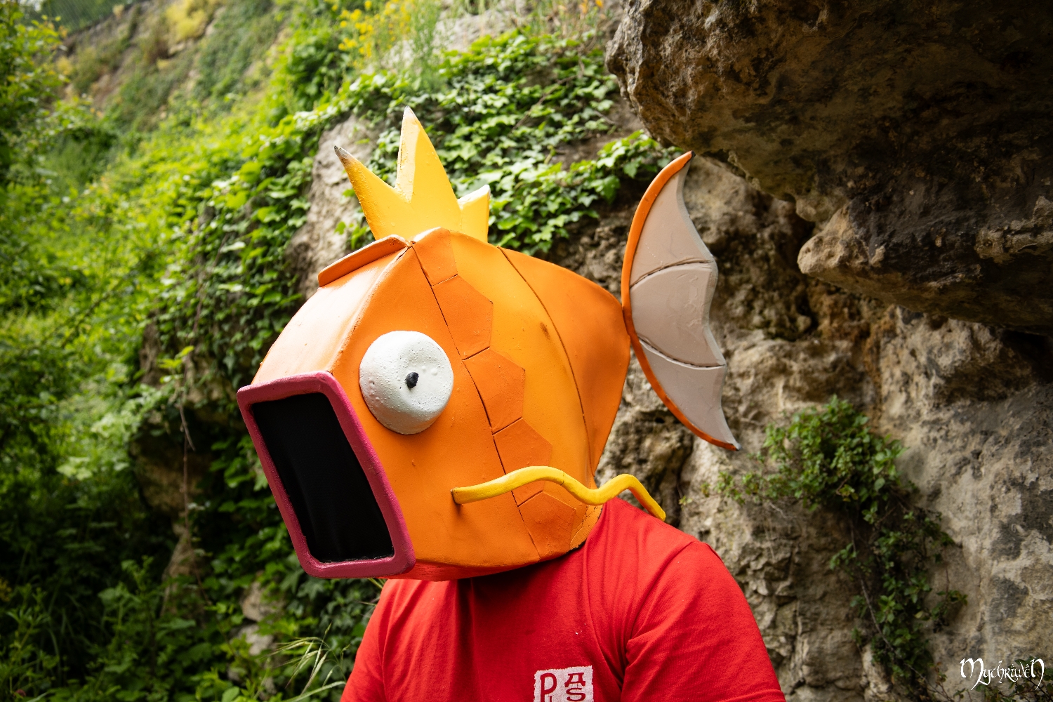 Ballade à Poitiers  - Photo 2