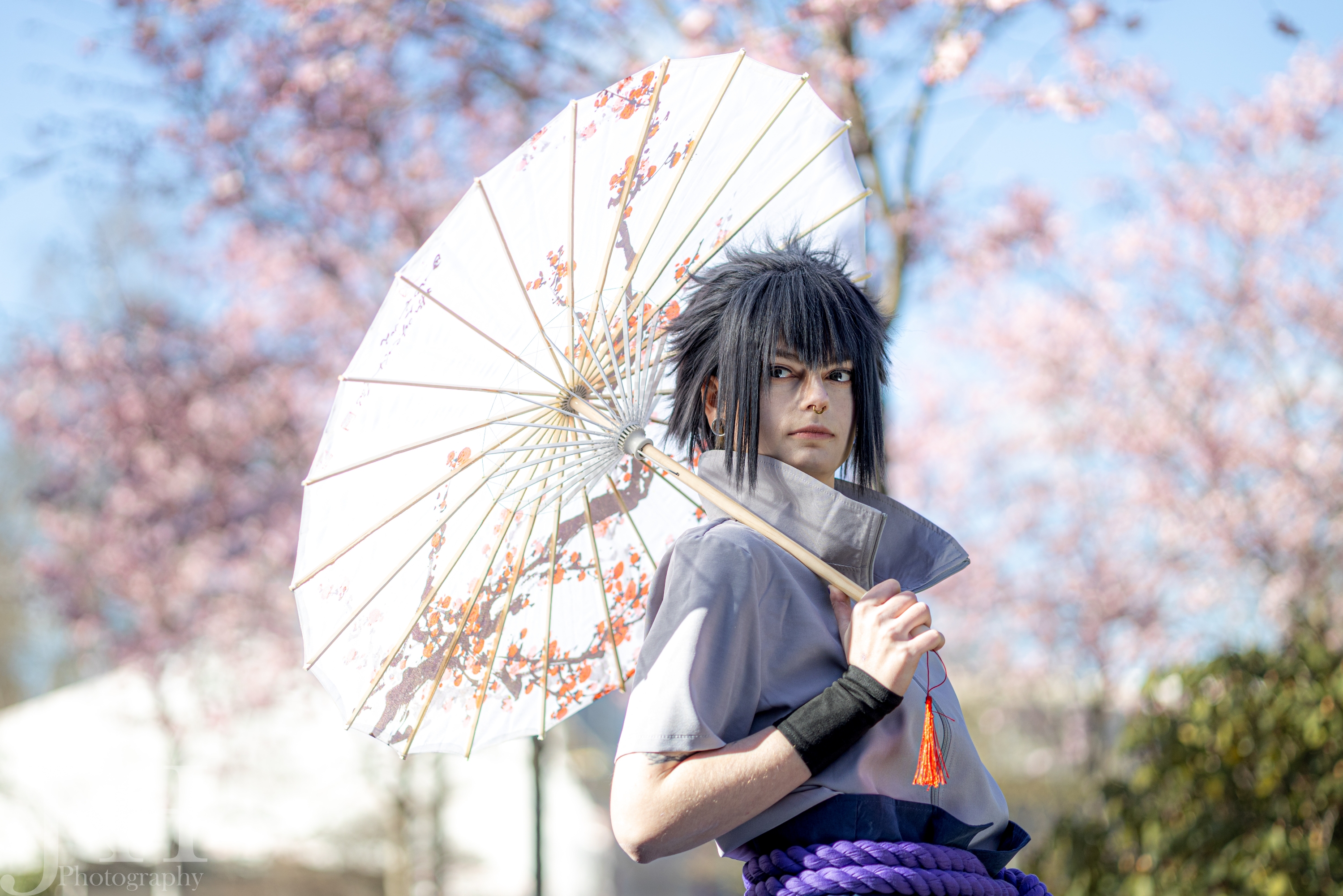 Cherry Blossoms — photo 8