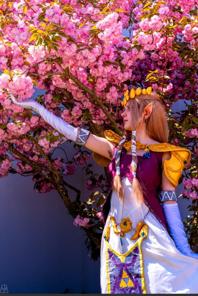 Zelda — photo 9