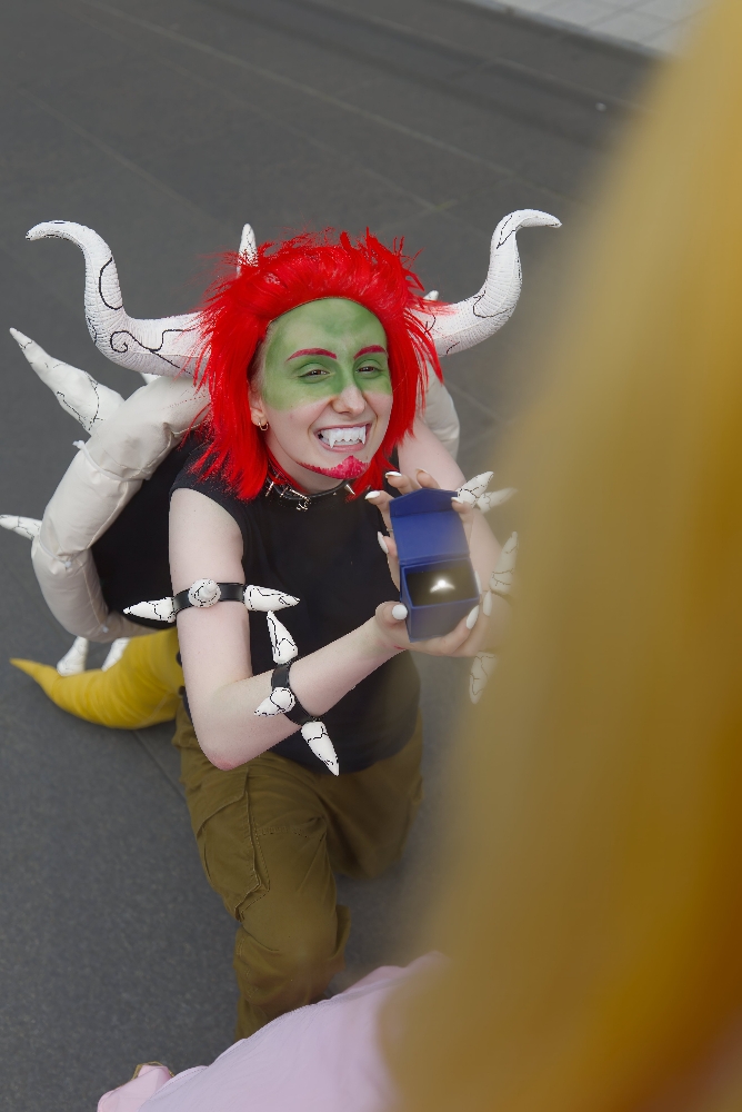 Bowser et Peach - Photo 3