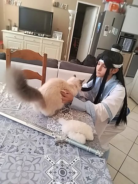 Emilie__cos - Lan zhan 