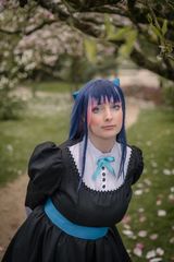 Stocking preview 3