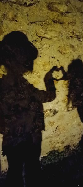 Elie.otaku - Chuuya x vampire 