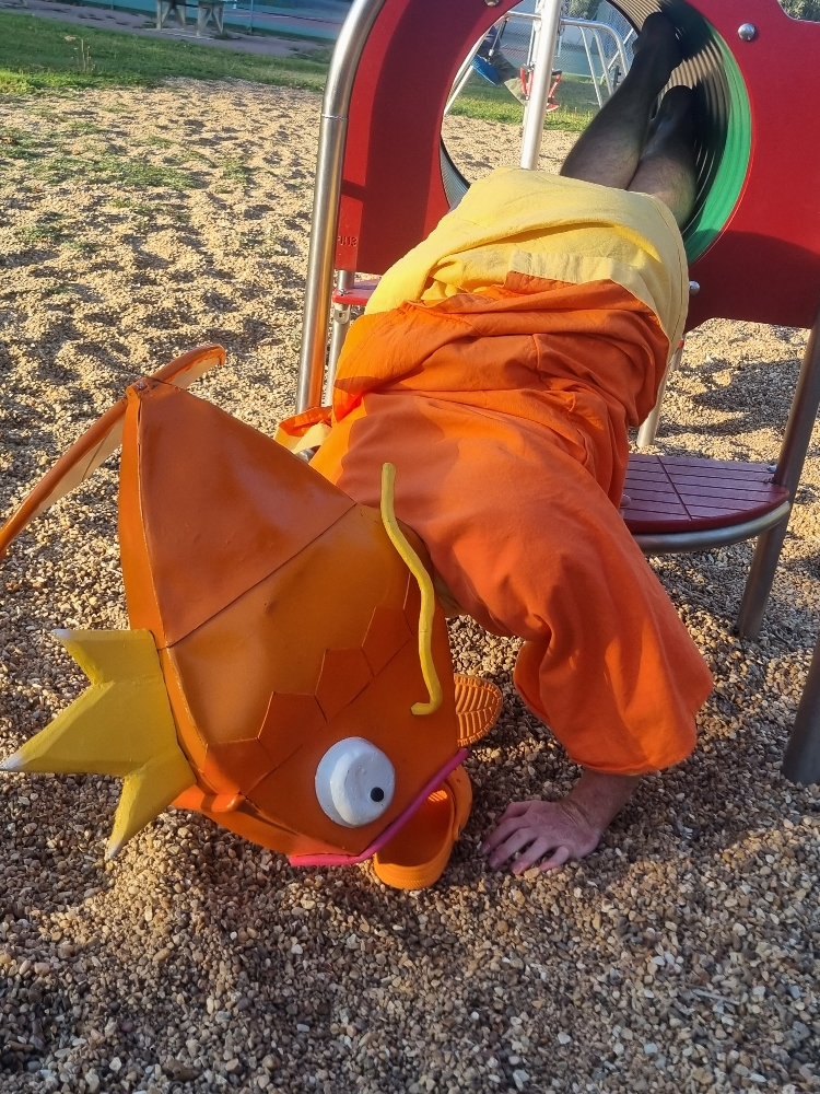 MoinegicarpeFlippant - Photo 10