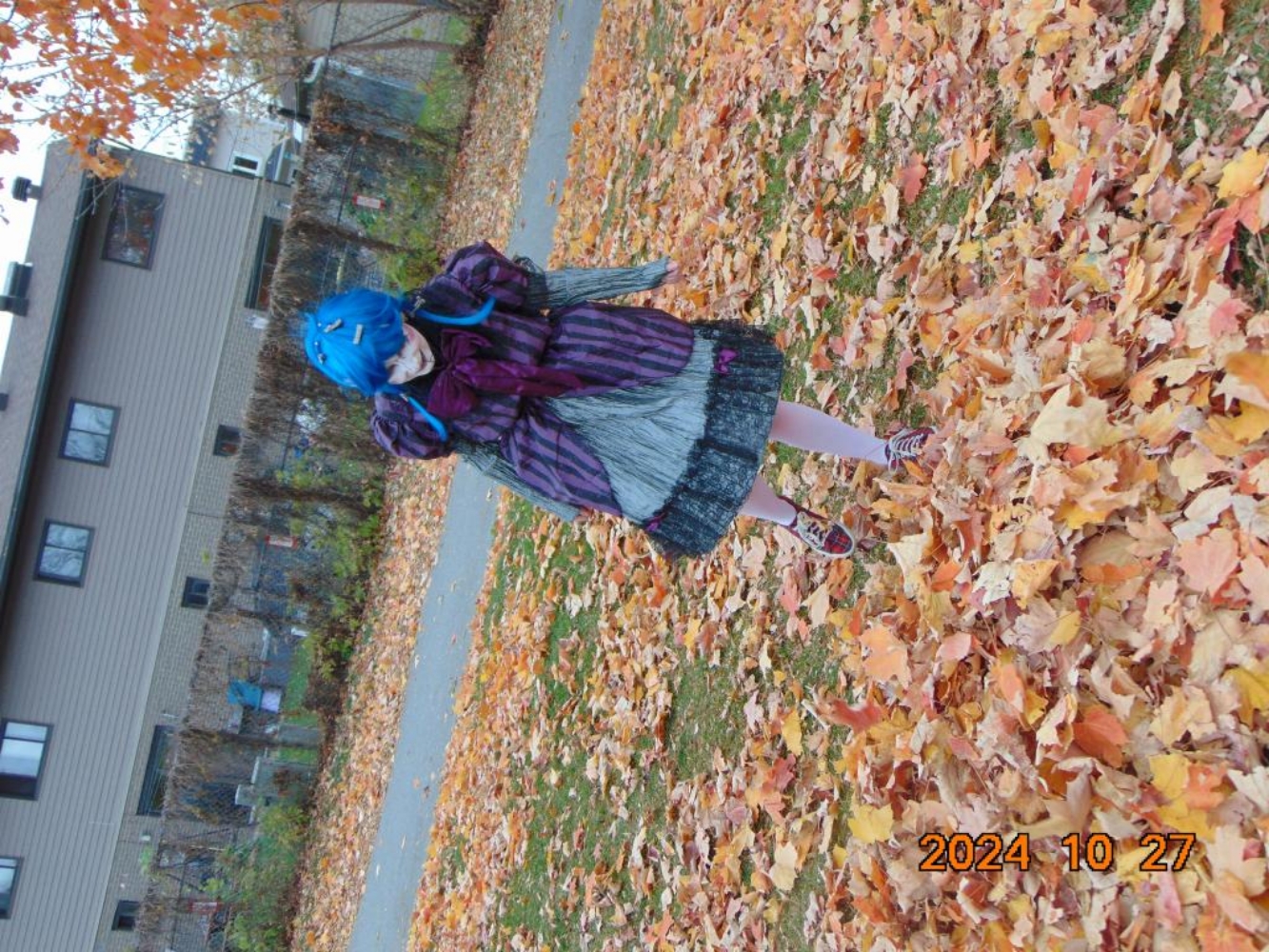 Chaotic Powder Doll - Photo 3