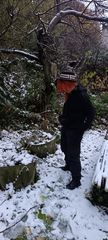 Chuuya x neige preview 2