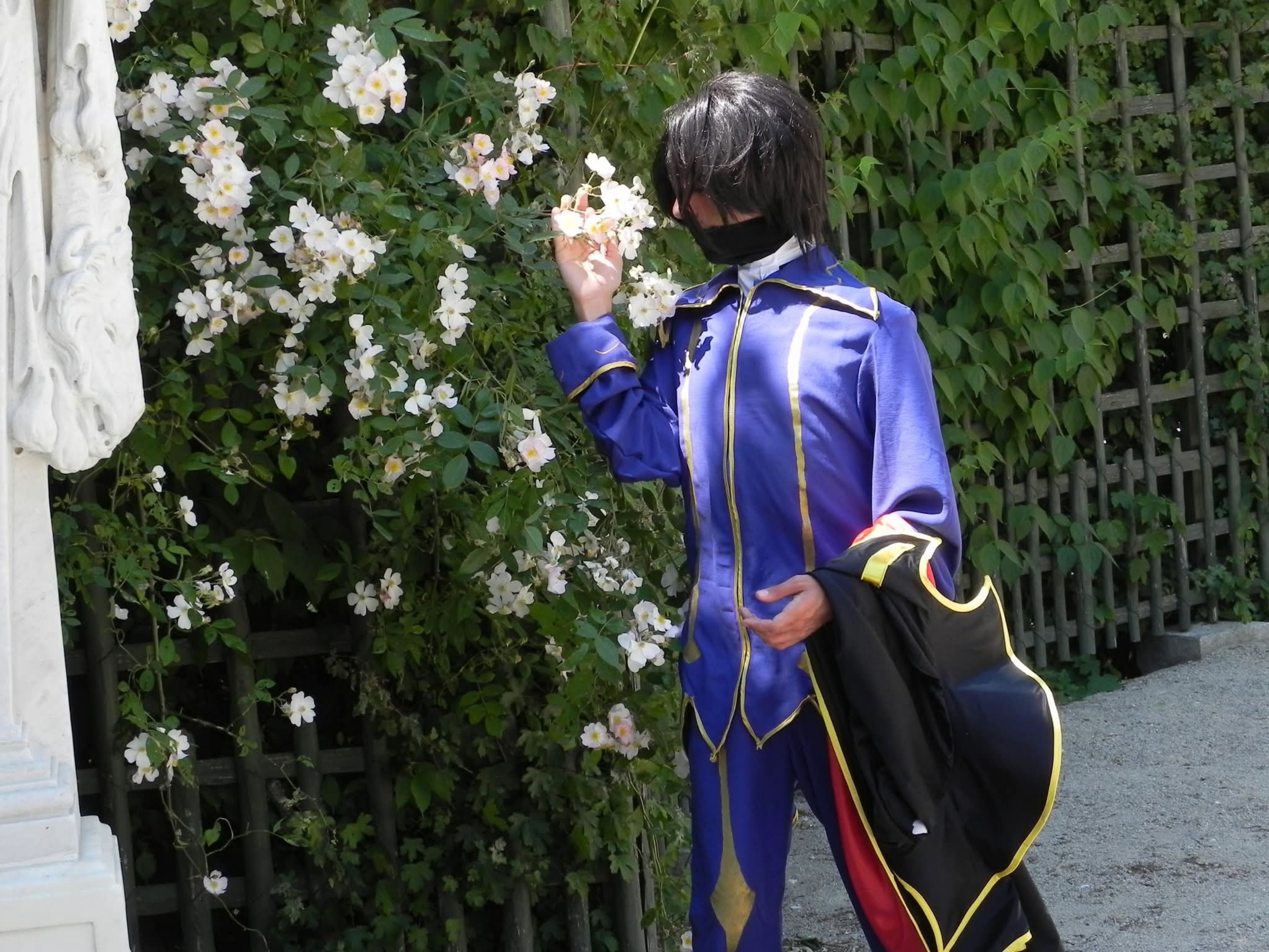Zero — photo 5
