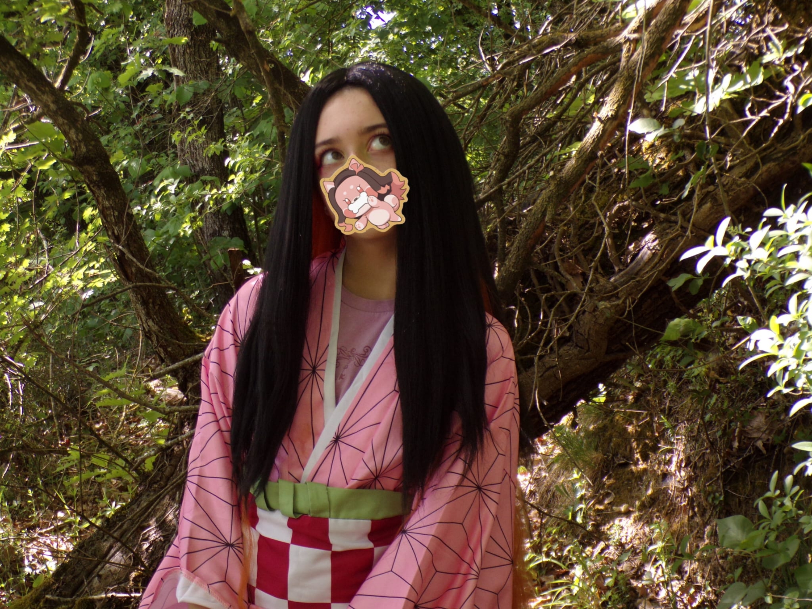 Nezuko — photo 11