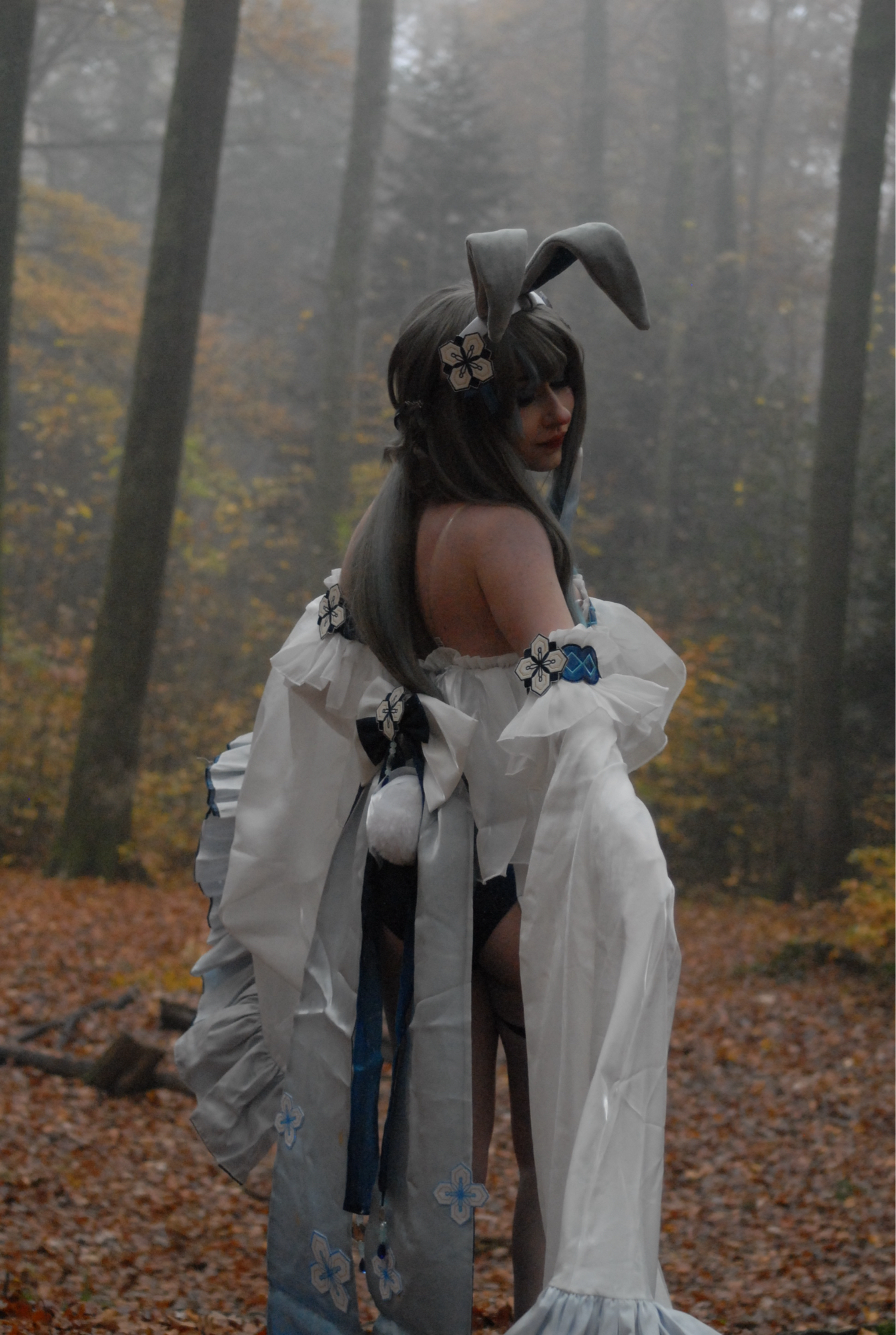 Guizhong Bunny - Photo 4