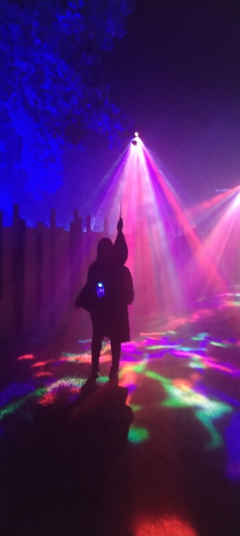 Demonio – La forêt interdite