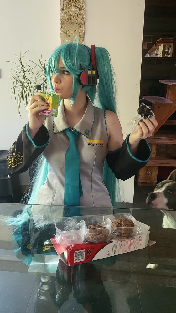 Miku — photo 6