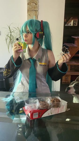 Mae__cosplay - Miku