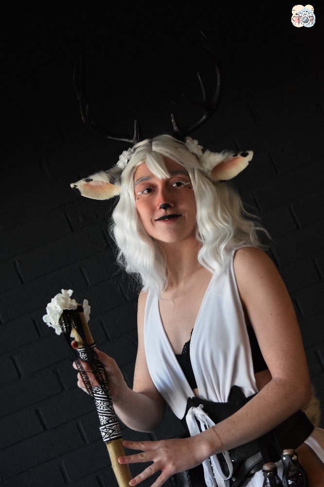 Faune noir et blanc - Photo 12