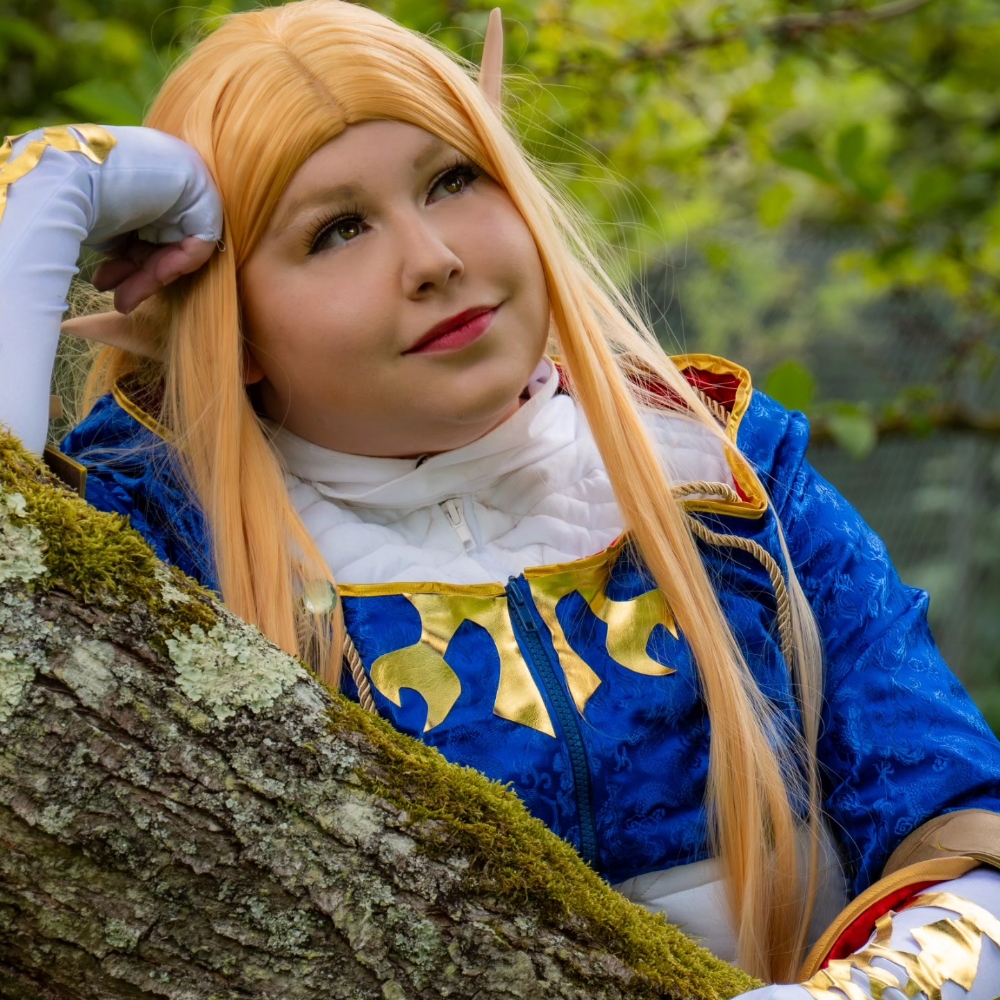 Zelda BOTW - Photo 3